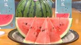 「シャリシャリの食感が特徴」 JAおおいたが日田市長に地元特産のスイカを贈りPR | 大分のニュース|OBS NEWS|大分放送