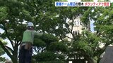 「被爆80年･100年も同じ状態に」原爆ドーム周辺の樹木をボランティアで剪定|TBS NEWS DIG