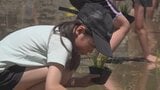 「おにぎりを作って食べたい」　小学生が田植え体験　コシヒカリの苗 約1000本を植える　山梨市|TBS NEWS DIG