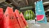 日田市特産のスイカの生産者らが市場でPR 「大きくて甘いスイカのシャリ感を楽しんで」 大分 | 大分のニュース|OBS NEWS|大分放送