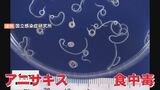 胃痛や嘔吐「アニサキス」食中毒 鳥取県で昨年の倍以上のペースで発生…相次ぐ理由は?|TBS NEWS DIG