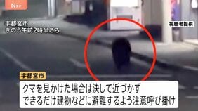 宇都宮市中心部でクマ目撃“40件以上”「一目で鳥肌が」街中の出現に戸惑い　市立小中学校が臨時休校　猟友会など捜索続ける|TBS NEWS DIG
