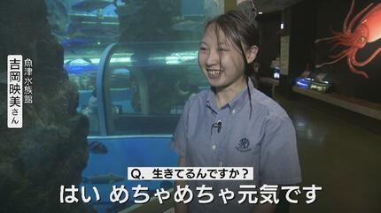 まさかのメタボ魚？SNSで1000万回以上の表示…ただいまダイエット中