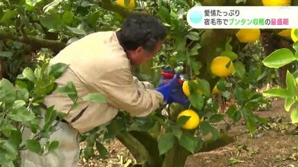 ボクシング・第54代日本ウェルター級王者が生産する『チャンピオン