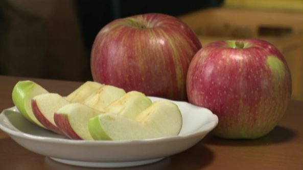 天候に恵まれ良い味に　酸味少なく甘さが特徴　中京関西方面中心に600トン　早生リンゴの主力品種「サンつがる」の出荷始まる　|　SBC NEWS | 長野のニュース | SBC信越放送