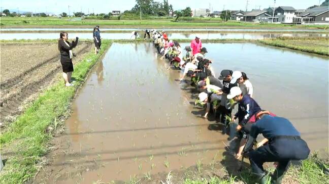 「コメ高い中で貴重な体験」コメ高騰の夏、霧島市の小学生が田植え体験　鹿児島|TBS NEWS DIG