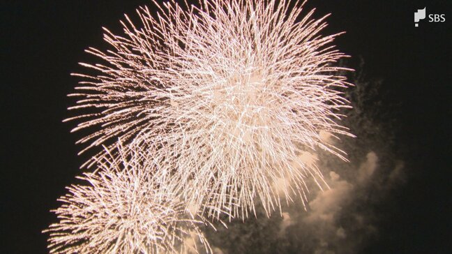 「時代の流れなんですかね」観光のまちで"最後の花火大会" 背景に資金不足のジレンマ 50回目で歴史に幕=静岡・河津町|TBS NEWS DIG