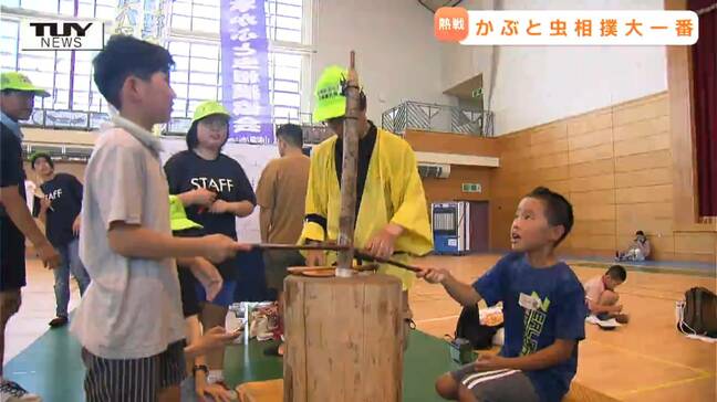 優勝した親方は2歳! 全国かぶと虫相撲大会開催 自慢のかぶと虫がたちが熱戦を展開! (山形)|TBS NEWS DIG