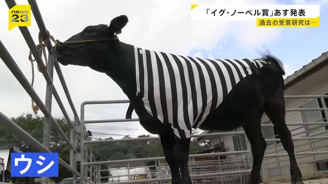 「イグ・ノーベル賞」4日発表 日本人の20年連続受賞なるか ユーモアのある研究などに贈られる|TBS NEWS DIG