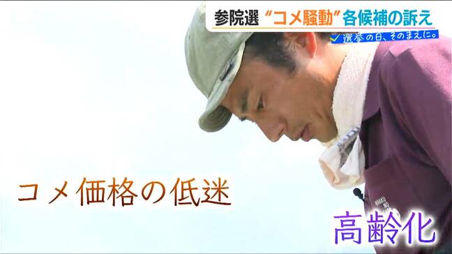 【参議院選挙】「みんなで考えていかないと」“コメどころ”新潟の農業の未来は…　新潟選挙区の各候補者が考える“コメ政策”|TBS NEWS DIG
