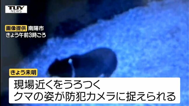 クマが南陽市職員を襲う　防犯カメラに現場近くをうろつくクマが...しかし未だ箱ワナにかからず　3日午後5時時点（山形）　|TBS NEWS DIG
