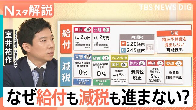 「給付」も「減税」も進まない？“給付”実現には秋に「補正予算案を組む必要」野党の協力が不可欠に【Nスタ解説】|TBS NEWS DIG