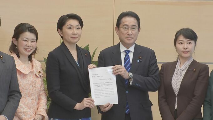 「お財布のいらない出産」実現を　自民議連が総理に提言　総理は保険適用に向けた環境整備の必要性言及|TBS NEWS DIG