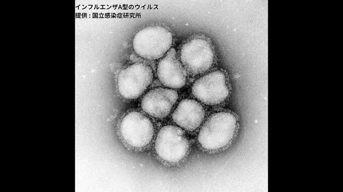 沖縄でインフルエンザ注意報　本島中南部で増加傾向　夏の「注意報」は2年連続　|　沖縄のニュース｜RBC 琉球放送