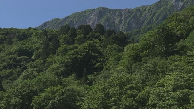 大山登山中に両足けいれん…動けなくなり自ら救助要請　広島から来た50代男性が遭難　救助隊が徒手搬送で下山　|　BSSニュース | BSS山陰放送