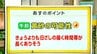 高知の天気　28日　広い範囲で晴れ　午前中は黄砂飛来の可能性　山岸拓気象予報士が解説　|　高知のニュース・天気｜KUTV NEWS | KUTVテレビ高知