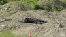 市街地でのクマ出没を想定した駆除訓練　クマ駆除のための県警のプロジェクトチームなどが参加「これからの対応力の向上につながった」　青森県深浦町　|　青森のニュース│ATV NEWS│青森テレビ