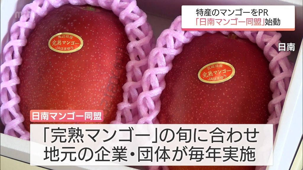 m*g様 ラスト1点 激レア 美品 大分県産 蓋付き オンセンゴマツボ 亀川