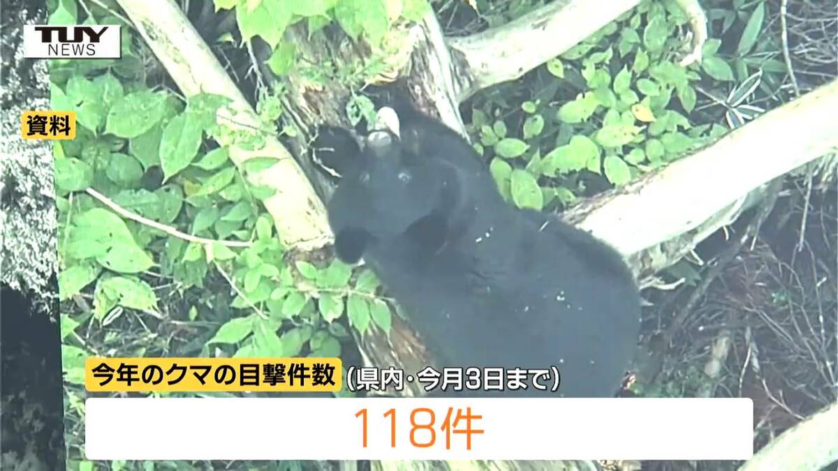 【2518】クマページ 相次ぐクマの出没…けさは河北町の住宅地で1頭目撃 クマ出没警報継続中