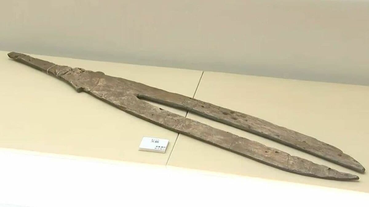 弥生時代から古墳時代の水田や遺跡から発掘された貴重な木製品の農機具