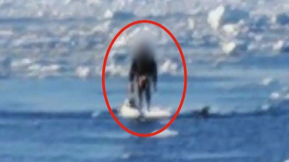 流氷に乗るのやめて！】死に至るリスク専門家が警鐘「何千本もの針が