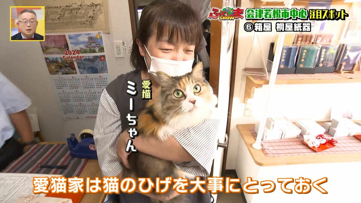 老舗の箱屋がつくった「猫のひげ入れ」 会津木綿を使った美しく丈夫な