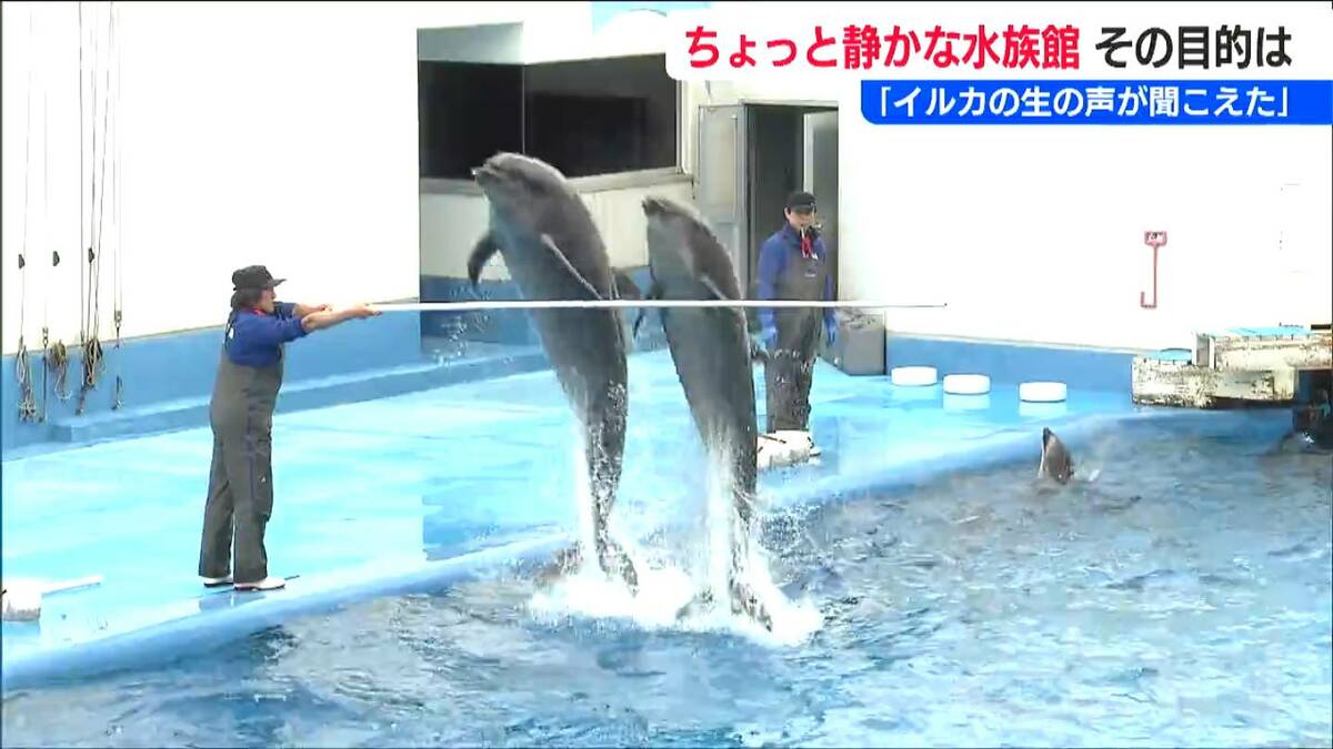 イルカもカーカーって聞こえたよ」「聞こえたね」ちょっと静かな水族館