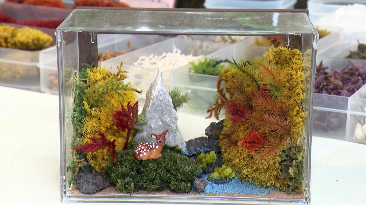 水やりいらない」枯れない苔テラリウムが人気！ 80歳店主が洋品店との