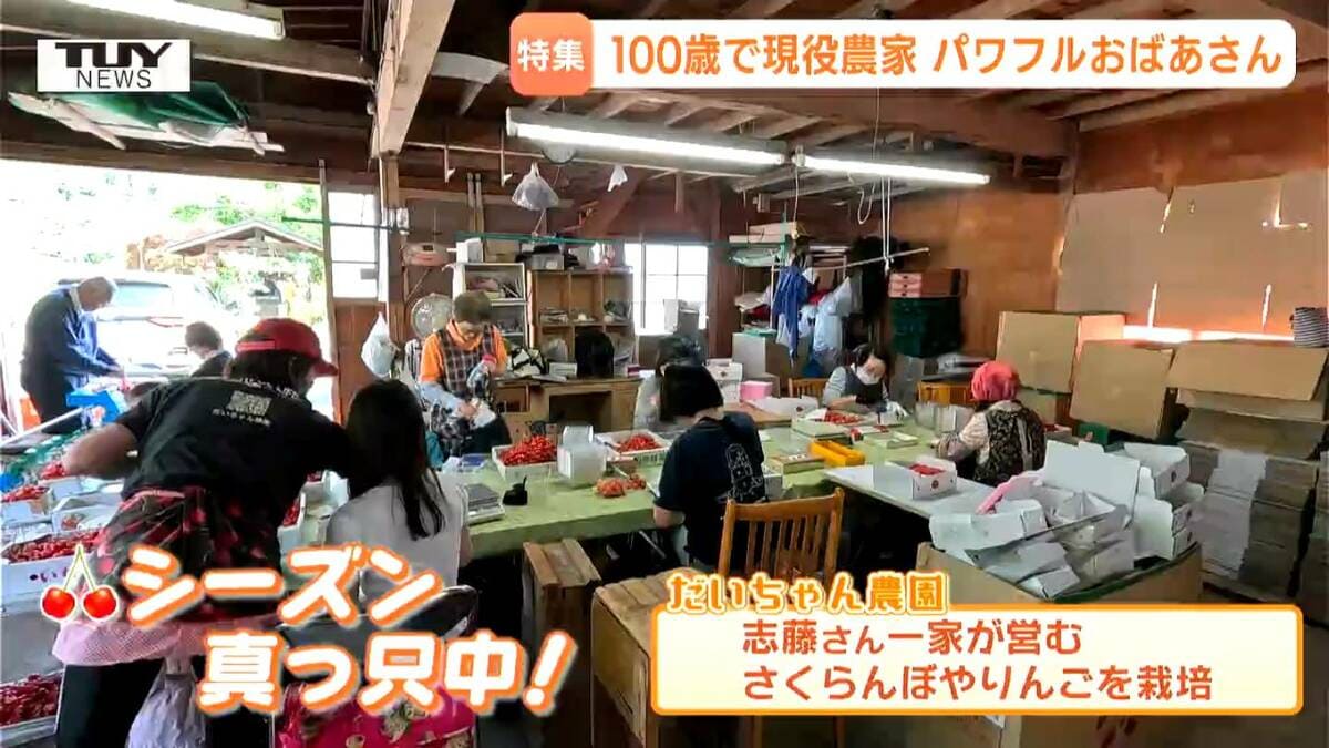 動画】農園の看板娘は100歳!? 家族の朝食準備、99歳差のひ孫の子守り