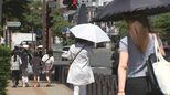 朝から気温上昇　宮古や一関ですでに25度超え　内陸南部は真夏日予想も　岩手　|　IBC NEWS | IBC岩手放送