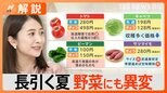 9月も暑い…長引く夏、例年と異なる野菜の顔ぶれ トマトの価格は2倍、ピーマンは1.5倍【Nスタ解説】|TBS NEWS DIG