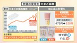 「スーパーの棚から消えた?」たまご“過去最高値”広がる影響 鳥インフル・えさ代高騰【解説】|TBS NEWS DIG