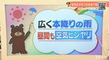 30日(木)は広く本降りの雨 昼間も空気ヒンヤリ 愛媛|TBS NEWS DIG