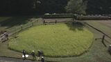 直径20メートルの丸い田んぼ「車田」で手際よく稲刈り 岐阜県高山市で地元の保存会員|TBS NEWS DIG