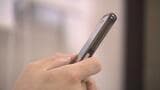 「楽な暮らしをしてほしい」”ナナ”という女性に親近感を抱き…50代男性がカネをだまし取られるロマンス詐欺被害(山形) | 山形のニュース│TUYテレビユー山形