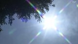 「日差しがまぶしかった」気温上昇で熱中症注意 福島市は真夏日予想 福島 | 福島のニュース│TUF