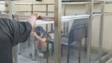 「震度6強」の揺れの強さも体験 いざという時に備え 準備の大切さ学ぶ 小学生対象の防災教室 | 山梨のニュース | UTYテレビ山梨