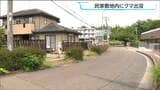 未明の庭先にクマ現る「物音がしたので外を見たら…」仙台・青葉区台原 | 宮城のニュース│tbc NEWS│tbc東北放送