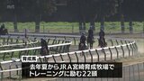 競走馬としてデビューを目指す育成馬の調教見学会　JRA宮崎育成牧場　|　MRTニュース ｜ ＭＲＴ宮崎放送