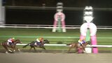 「JBC」開催の盛岡競馬場に1万人 1日の売り上げは岩手競馬過去最高の69億円超|TBS NEWS DIG