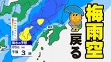 【東京首都圏 来週は梅雨空戻る】梅雨前線は本州の日本海側で停滞へ【雨のシミュレーション23日(月)~25日(水)・週間予報】東京・神奈川・埼玉・千葉・群馬・栃木・茨城 | 鹿児島のニュース|MBC NEWS|南日本放送