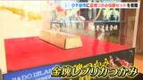 金銀錦鯉のお礼に“金塊掴み”のセットを佐渡市から小千谷市へ にいがたが誇る金山と錦鯉を世界に発信|TBS NEWS DIG