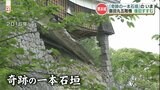 熊本城 「奇跡の一本石垣」復旧作業進む「二度と崩れない石垣」へ | 熊本のニュース|RKK NEWS|RKK熊本放送