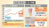 「スーパーの棚から消えた?」たまご“過去最高値”広がる影響 鳥インフル・えさ代高騰【解説】|TBS NEWS DIG