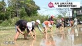 先月 山林火災発生の宮崎市鏡洲地区　小学生が田植え体験|TBS NEWS DIG