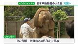 「シャンティとの時間は人生の一部」30年世話した飼育員との思い出 日本平動物園の人気者ゾウ “天国へ”(静岡県) | 静岡のニュース | SBSNEWS | 静岡放送