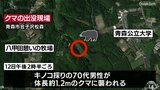 「クマが走って襲いかかってきた」キノコ採りの70代男性が左耳と左手を負傷|TBS NEWS DIG