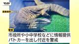 逃げ出した『ヒャクメオオトカゲ』未だ見つからず…箱ワナ設置など捕獲に向け対応続く　見つけたら近づかず警察に通報を（山形・米沢市）　|　山形のニュース│TUYテレビユー山形