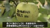 交通安全啓発のメッセージが浮かび上がる“リンゴ”作り始まる|TBS NEWS DIG