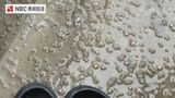 長崎・対馬では「ひょう」や「あられ」も 九州北部地方で落雷や竜巻などの激しい突風、降ひょうに注意 | 長崎のニュース | 天気 | NBC長崎放送